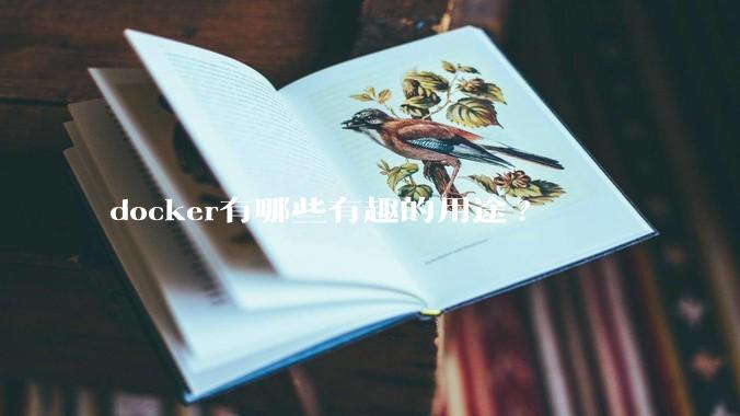 docker有哪些有趣的用途?