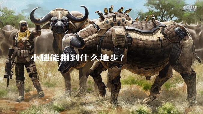 小腿能粗到什么地步？