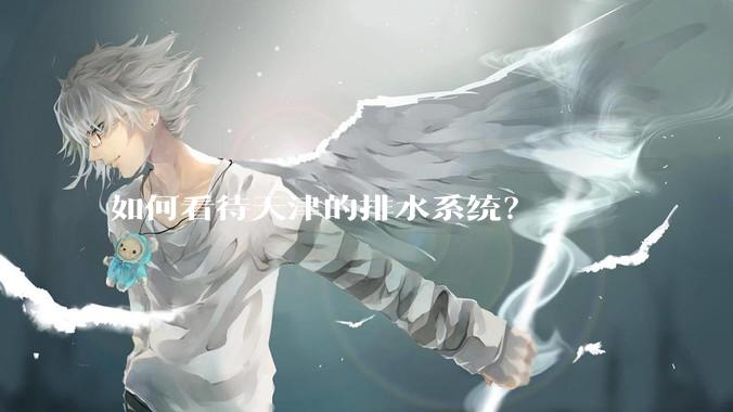 如何看待天津的排水系统？